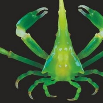 @ressource.title_image_legend