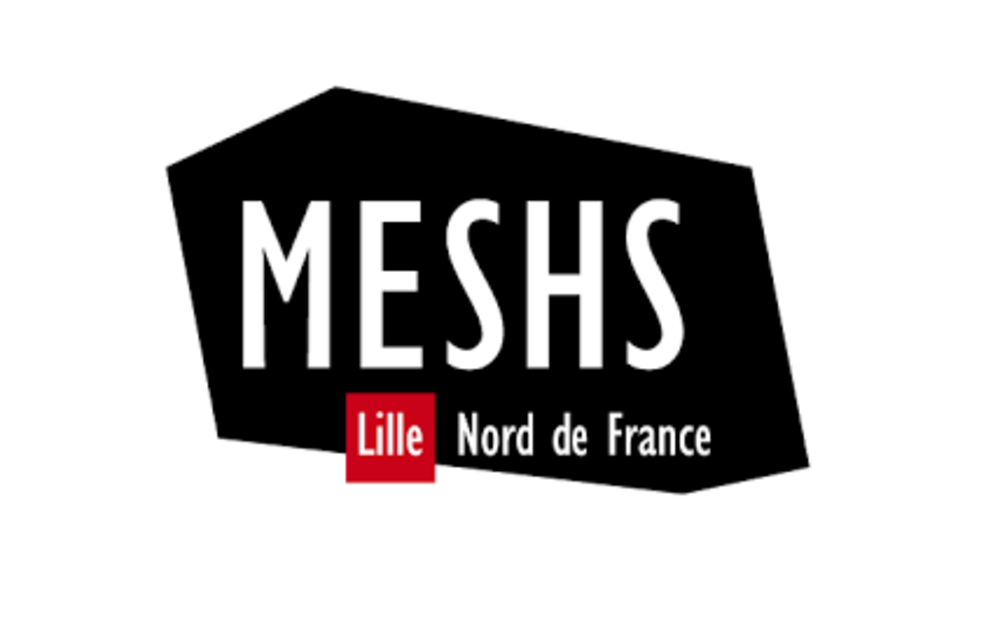 meshs.png