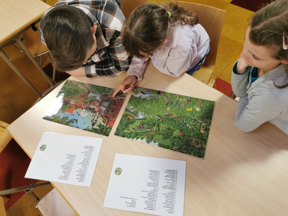 Séance 1 Introduction à la biodiversité - MC BLV.jpg