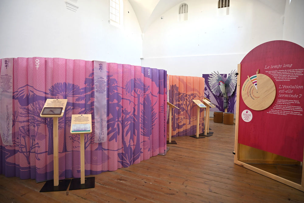 ExpoPopUp-29.jpg