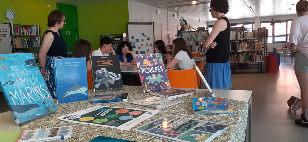 PSE Calais-Restitution-Jeux-livre.jpg