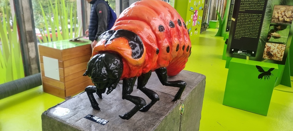 20251023_162157.jpg 20251023_162157.jpg