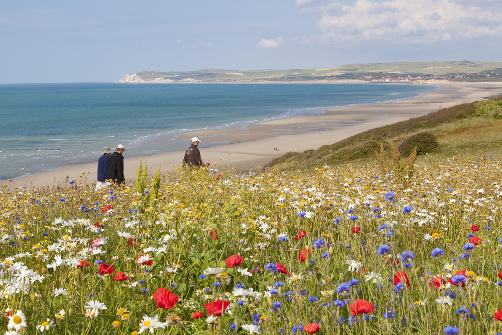 Cap_Blanc_nez- PNRCMO crédit O.Leclercq.jpg