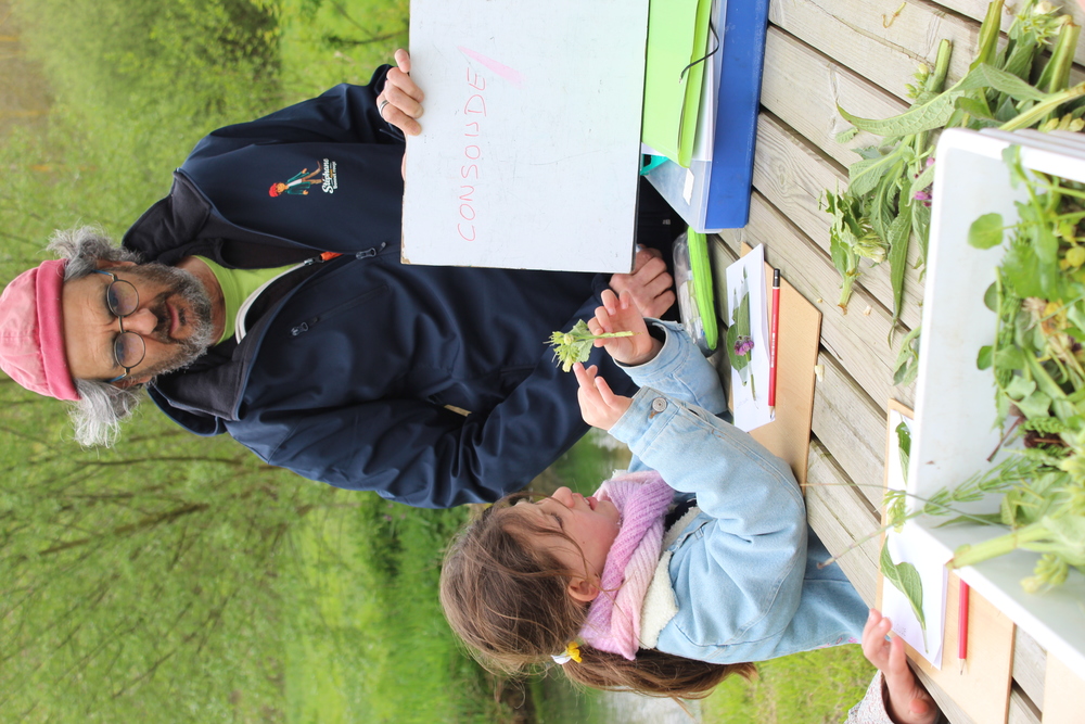 PSE-Vimeu-1504-Herbier-menthe aquatique.JPG