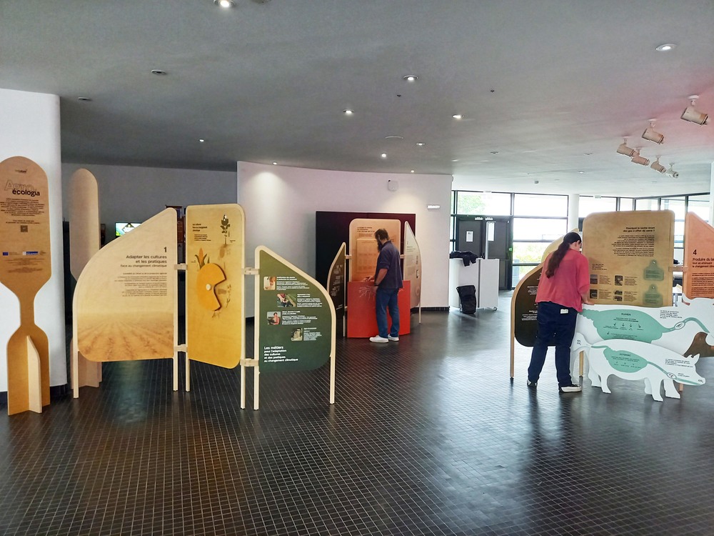 20260518_115015-rec.jpg