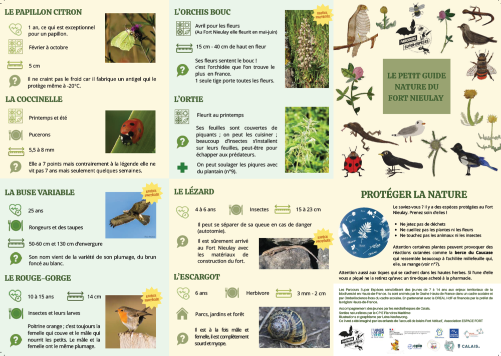 5 Guide Fort Nieulay.png 5 Guide Fort Nieulay.png