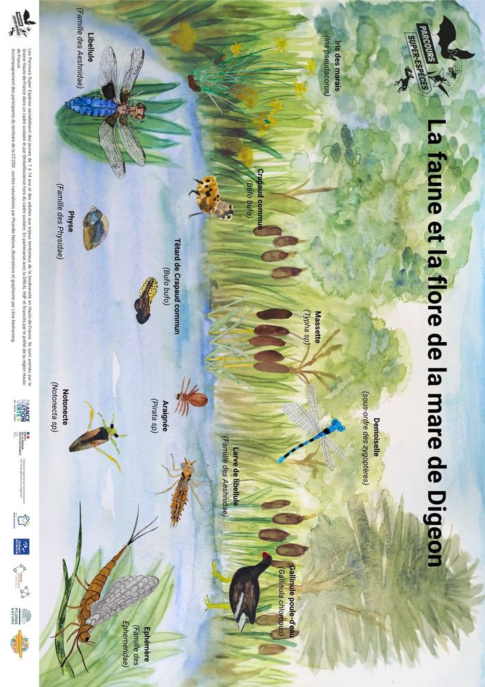 6 Poster mare de Digeon.jpg 6 Poster mare de Digeon.jpg